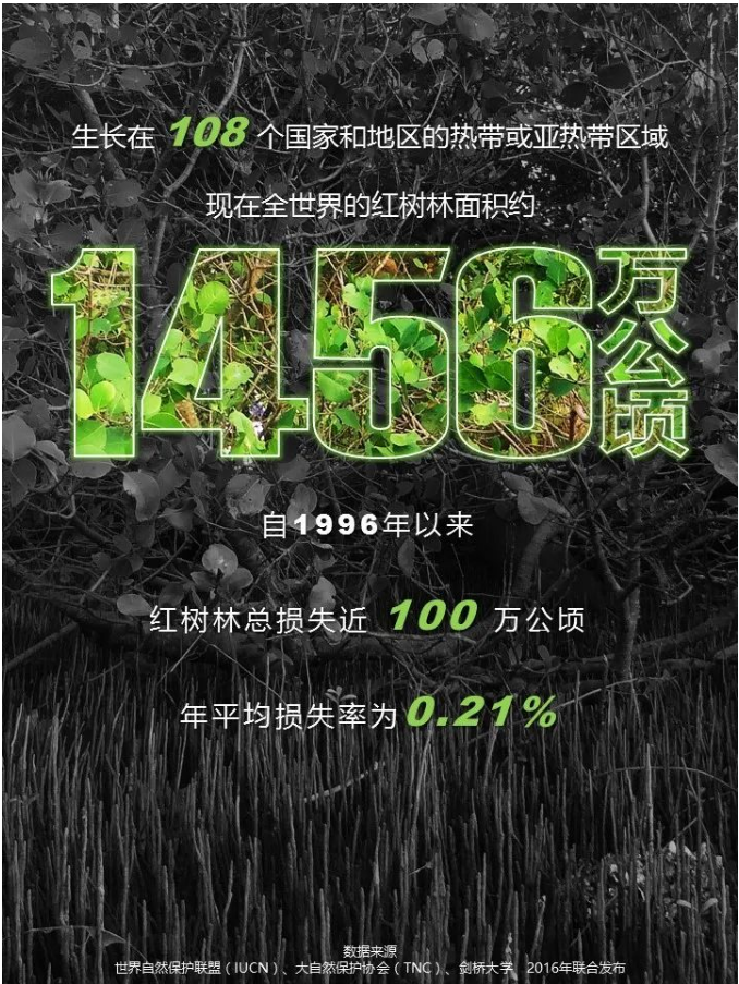 qq截图20200610112738.png