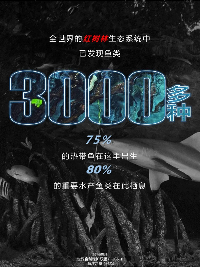 qq截图20200610112841.png
