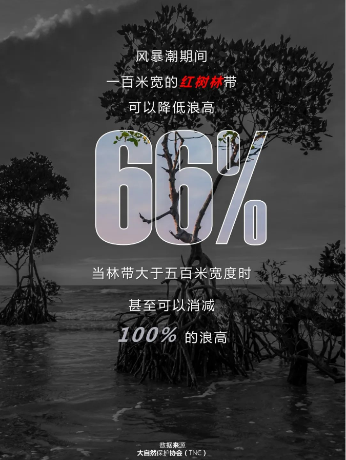 qq截图20200610113059.png