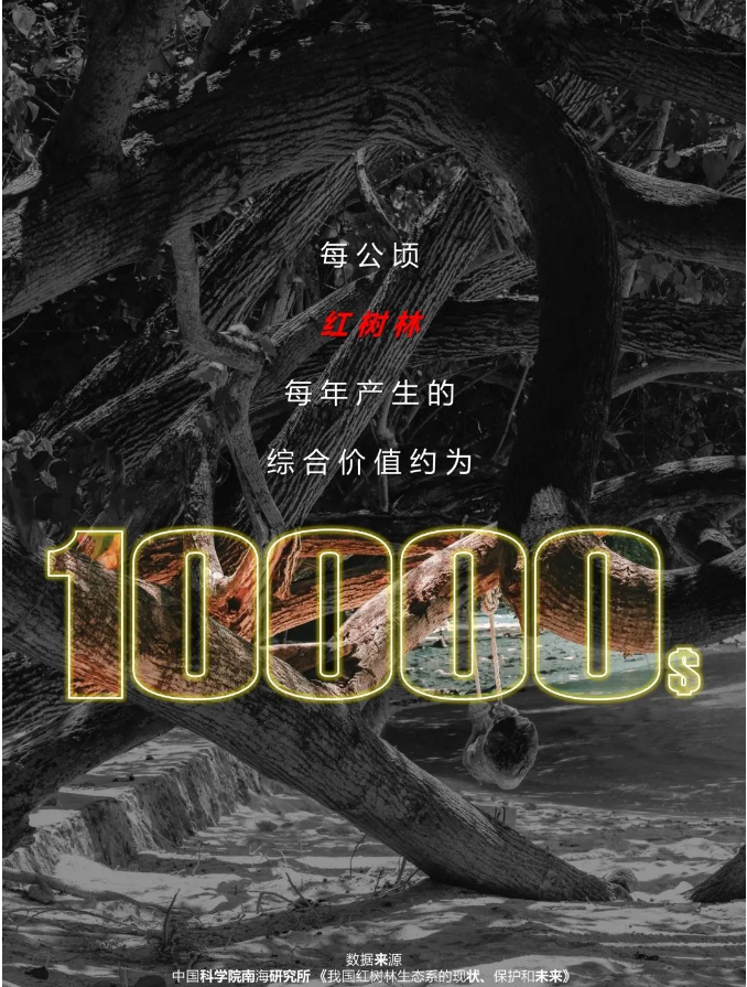 qq截图20200610113142.png