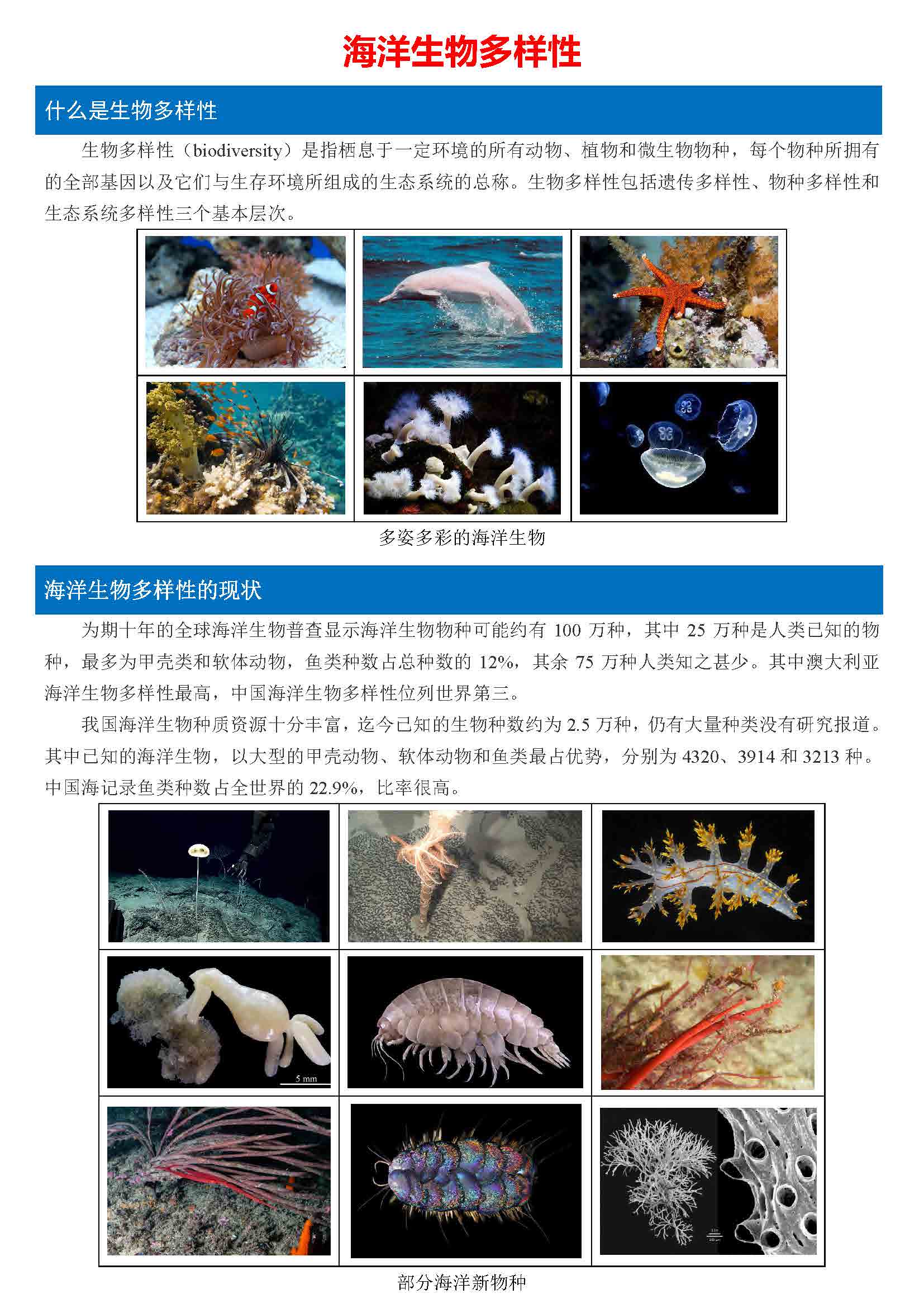 海洋生态-海洋生物多样性_页面_1.jpg