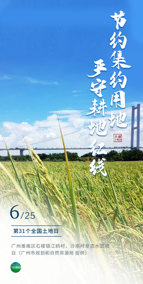 1-广州番禺（1）.png